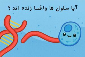 صفحه اصلی 41 آیا سلولها زندهاند